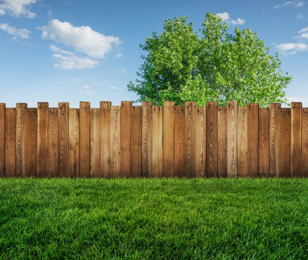 Privacy Fencing