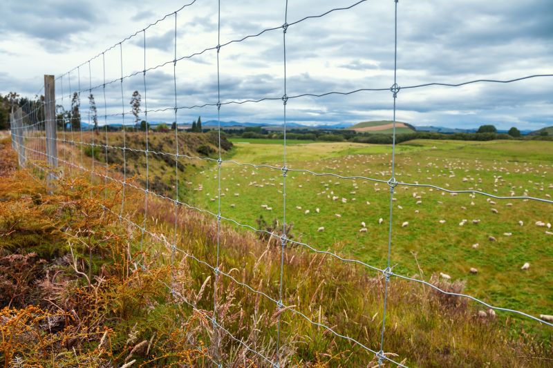 Sheep Fence Installation